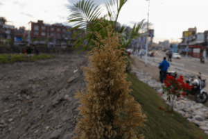 कतारद्वारा कामदारलाई न्यूनतम तलब तोक्ने कानुन पारित, नेपाली कामदारलाई ठूलो राहत