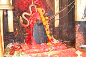 आजको राशिफल / वि.सं. २०७६ चैत्र ०७ गते शुक्रबार