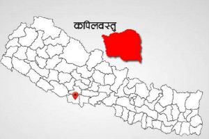 कपिलवस्तु जेठ २० गतेसम्म सिल गर्ने निर्णय