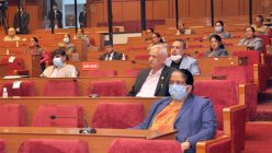 विद्युत् र टेलिकम महसुल छुट कार्यान्वयन गर्न सांसदकाे माग