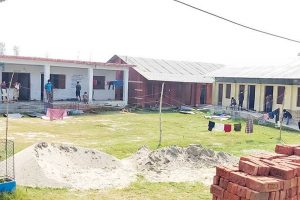 आइसोलेसनबाट संक्रमित भागे, क्वारेन्टाइनमा सर्पले टोक्यो