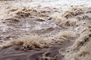 धरानको सर्दु खोलाले बगाएर एक जना बेपत्ता