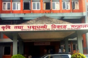 मल कारबाही प्रकरण : ठेक्का रद्ध भए पनि कालोसूचीमा राख्न अलमल