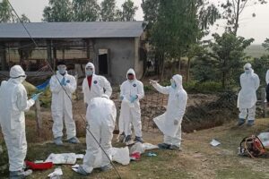 बर्डफ्लुको प्रकोपका कारण भारतको झारखण्डमा एक हजार पक्षी मारिए