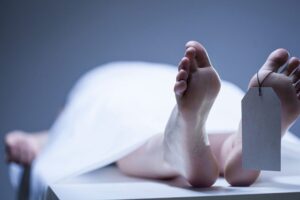 क्रसरमा ट्रिपरले किच्दा जेसिभी अपरेटरको मृत्यु