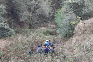 ट्याक्टर दुर्घटना हुँदा २ जनाको मृत्यु, २४ घाइते