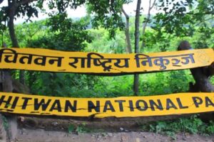चितवन राष्ट्रिय निकुञ्जको सुक्खा क्षेत्रमा ‘डिपबोरिङ’