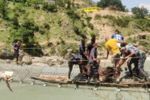 कर्णालीको झोलुङ्गे पुलमा अड्किएका खच्चडको उद्धार