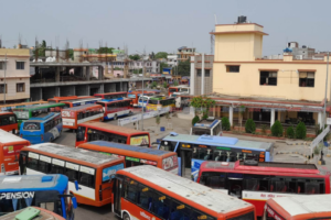 दशैँमा बसको टिकट काट्न काउन्टरमा लाइन बस्नु नपर्ने, दैनिक ४० हजारभन्दा बढी सिट बस सेवामा