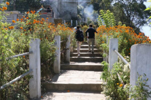 खोटाङको मझुवागढीलाई ‘फूलैफूलको पहाड’ बनाउने अभियान
