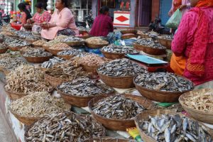 धरानमा फस्टाउँदै सिद्रा व्यापार