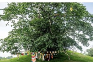 रामग्राममा बुद्धकालीन सहरको संरचना भेटिएको दाबी