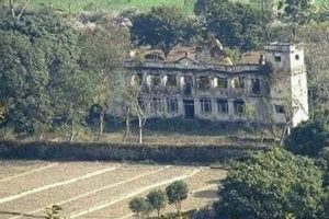शेरा दरबारकाे  १६३ रोपनी जग्गा जफत गर्न सीआईबीको सिफारिस