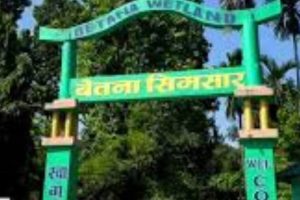 बेतना सिमसारमा राजस्व कार्यलयको छापा