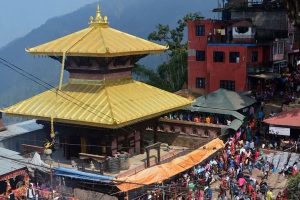 मनकामना मन्दिरका दर्शनार्थी सवार माइक्रो बस दुर्घटना, १ को मृत्यु, १४ घाइते