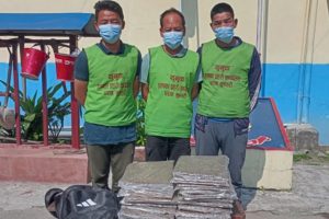 धरानबाट १९ किलो गाँजा बरामद, बाबु छोरासहित ३ जना पक्राउ