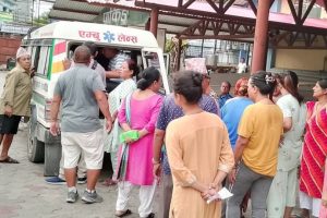 दमकमा जङ्गली हात्तीको आक्रमण :  मर्निङ वाकमा निस्किएका दिदीबहिनी गम्भीर घाइते