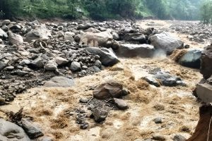 बाढीले ४ वटा पुल बगायो, २ वटामा क्षति