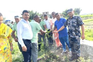 बुढीगंगामा वृहत वृक्षरोपण