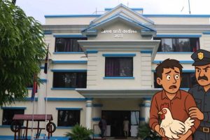 झापामा कुखुराको पोथी करणी गर्दा गर्दै पक्राउ