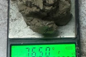 जहदाका दुई युवा ब्राउन सुगरसहित विराटनगरमा पक्राउ