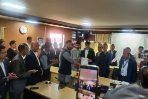 सभामुखमा रास्वपा उपसभापति अर्यालको उम्मेदवारी दर्ता