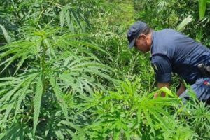 दुर्व्यसनको अखडा बन्दै वीरेन्द्रनगर