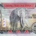 नोट हाम्रो, हात्ती कसको–कसको !