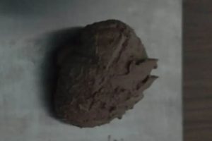 मुखमा राखेर ब्राउन सुगर ओसारपसार, दुई जना पक्राउ