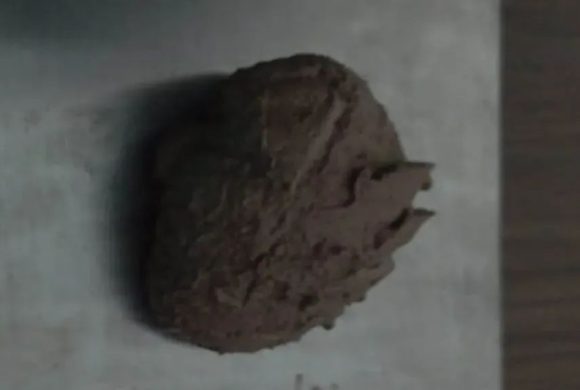 मुखमा राखेर ब्राउन सुगर ओसारपसार, दुई जना पक्राउ