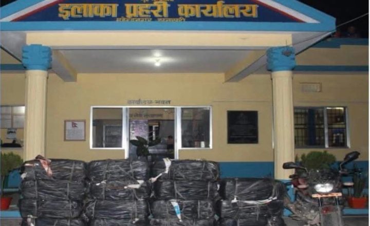 सुनसरीको पटनाली जंगलबाट ४३० केजी गाँजा र मोटरसाइकल बरामद