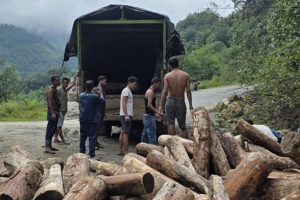 चार ट्रक गोलिया बरामद, कटान र निकासीका बारेमा अनुसन्धान सुरु