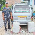 विराटनगरमा ६० किलो गाँजासहित भ्यान बरामद