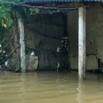 सप्तकोशीको बाढीले १७ घर डुबायो, सुत्केरीसहित परिवार बाँधमा