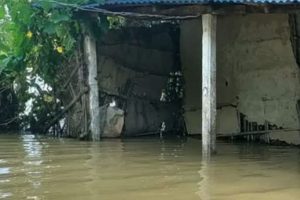 सप्तकोशीको बाढीले १७ घर डुबायो, सुत्केरीसहित परिवार बाँधमा